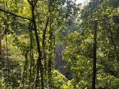 -水濂山森林公园