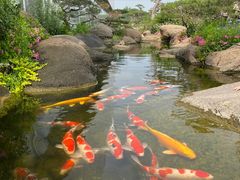 -罗红摄影艺术馆