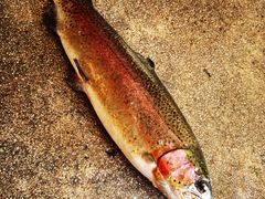 -玉水寨丽江源餐厅