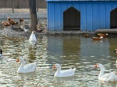 -森林公园(尖草坪区)