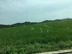 -棠记海鲜餐厅(南朗镇店)