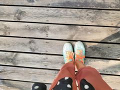 -合肥滨湖国家森林公园