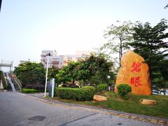 -新湖烧鸡(光明店)
