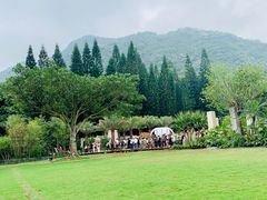 -深圳仙湖植物园