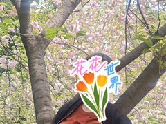 -武汉大学-樱园