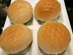 营养燕麦包-新兴·金羊座·粤菜点心(乐峰店)