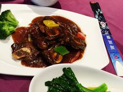 -雨林餐厅(长隆海洋王国店)