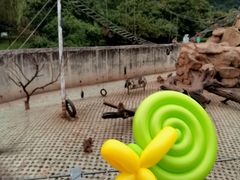 -西安秦岭野生动物园