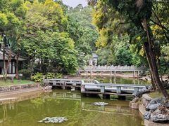 -深圳国际园林花卉博览园