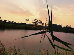 -光明小镇欢乐田园