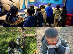 -世纪飞马幼儿园(西城校区)