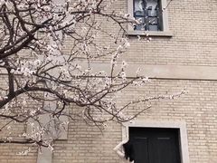 -清风小镇闯关东影视基地