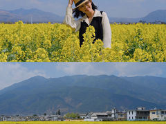 观景台外油菜花田-喜林苑·稻田餐厅(品相府店)