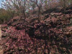 -白水带风景区体育公园