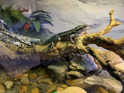 -Zoolung Zoolung动物主题公园(海信广场店)