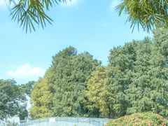 -中国科学院华南植物园