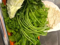 -德龙火锅(松源街直营店)