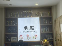 -心联形象设计·流星染