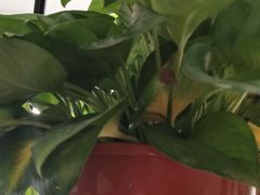 -静之湖湖畔餐厅