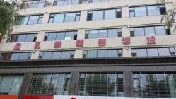 金孔雀舞蹈学校-金孔雀舞蹈学校