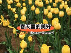 -迎泽公园