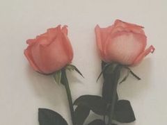 -李不管把把烧(火车南站店)