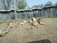 -北京野生动物园