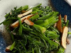 -阿巧茶庄