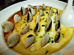 沙白蒸水蛋-道南書院·私房菜·早午茶·茶馆