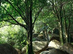 -火炉山森林公园