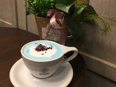 -ZING COFFEE 镜咖啡