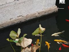 -北京市劳动人民文化宫(太庙)
