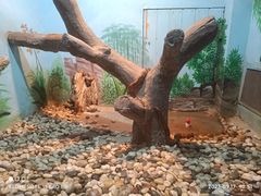 -石家庄市动物园