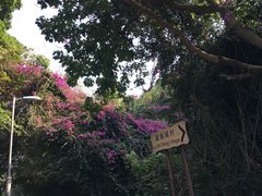 -南丫岛