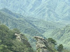 -朱雀国家森林公园