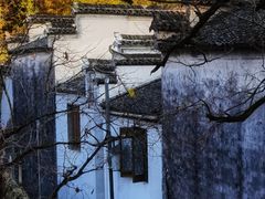 -塔川景区