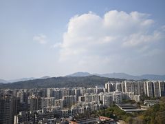 -福道