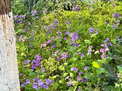 -苏州河梦清园环保主题公园