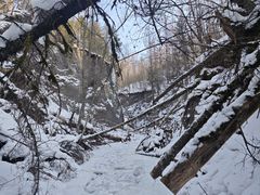 -峡谷浮石林景区
