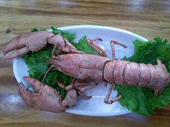 -老码头海鲜烧烤炒菜(广西路店)