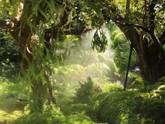 -Chom Cafe and Restaurant