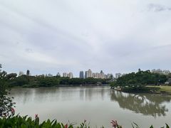 -江心屿景区