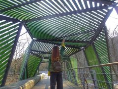 -西湖风景区-江洋畈生态公园