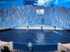 -珠海长隆海洋王国