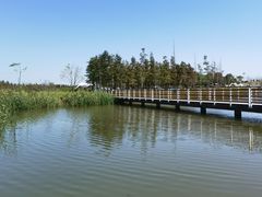 -春花秋色城市公园