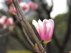 -人民广场