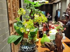 -龙悦湾酒家·八阵鱼生·渔人码头店