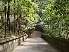 -都江堰普照寺