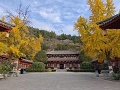 -徐州汉画像石艺术馆