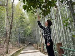 -敬亭山风景名胜区